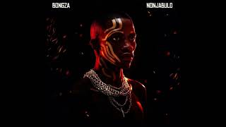 Bongza  Malunde feat Thatohatsi x Mdu aka TRP [upl. by Nnairac]