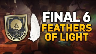 Destiny 2 All Feathers of Light in Dual Destiny  Flock Together Triumph [upl. by Nerita]