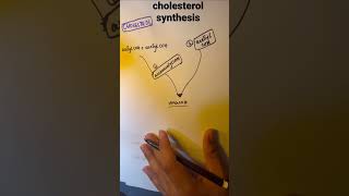 BIOCHEMISTRYCHOLESTEROL SYNTHESIS MNEMONICS [upl. by Tanaka269]