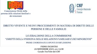 DIRITTO VIVENTE E NUOVI PROCEDIMENTI IN MATERIA DI DIRITTI DELLE PERSONE E DELLE FAMIGLIE [upl. by Lennahc]