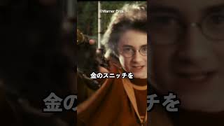 金のスニッチに隠された伏線 ダンブルドアがハリーに渡した遺品 賢者の石 harrypotter ハリーポッター [upl. by Borgeson]