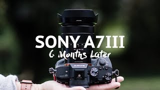 Sony A7iii  The good and the bad [upl. by Goda]