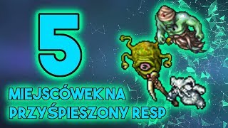 PL Tibia  5 miejsc gdzie wybrać się podczas przyśpieszonego respa Rapid Respawn Weekend [upl. by Navnod]