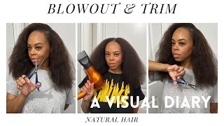 Let’s Try A Blowout With Cécred  Natural Hair Trim [upl. by Ikiv]