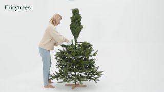 Künstlicher Weihnachtsbaum von FairyTrees  Montagefilm 2024 [upl. by Dnaltiac]