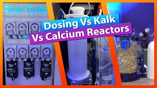 Dosing vs Kalkwasser vs Calcium Reactors  when to chose what [upl. by Nosnirb]