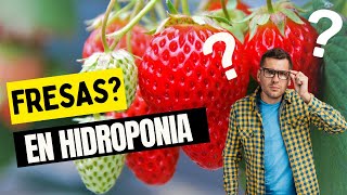 ¿Cómo cultivar fresas en hidroponía 🍓🍓 [upl. by Neelyhtak]