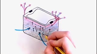 Basics of How a MonoTub Works  Understand Fruiting Conditions Gas Exchange for Growing Mushrooms [upl. by Ylek426]