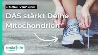 Mitochondrien in Topform ​🔬​ Studie 2022 So hilft Bewegung Deinen Zellen [upl. by Ergener]