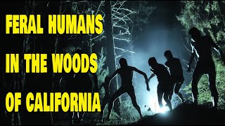 TALES OF FERALPEOPLE FROM THE WOODS OF CALIFORNIA [upl. by Ynitsed336]