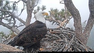 Big BearJackie in the sleet935 AM 20181231 [upl. by Bohi854]