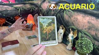 ⏱Acuario♒️OMG😱ENAMORADA DE TU LECTURA🥰SE ACERCA UN ENCUENTRO DE ALMAS😍Energías 15Sept 2022 [upl. by Aiekal]