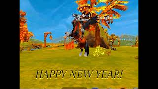 HAPPY NEW YEAR Horse Riding Tales [upl. by Anertac]