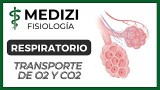 Clase 41 Fisiología Respiratoria  Transporte de O2 y CO2 en la sangre y tejidos IGdoctorpaiva [upl. by Lempres]