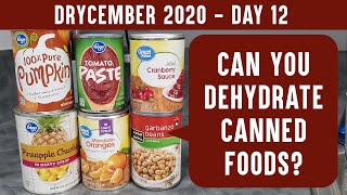 CAN YOU DEHYDRATE CANNED FOOD Drycember Day 12  Make food storage more versatile [upl. by Notlrak451]