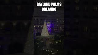 Inside the Gaylord Palms Hotel in Orlando Florida [upl. by Xad]