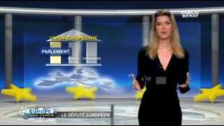 Européennes mode demploi  Le député européen [upl. by Nniw]