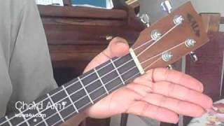 Ukulele Chord Am7 Chords ukulele [upl. by Ginnie52]