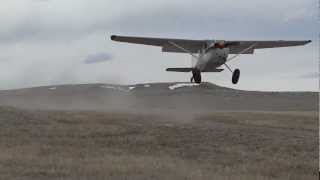 Cessna 180 landing short in windy conditions [upl. by Aynatan]