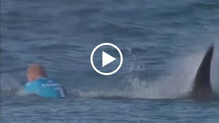 Shark attack full video Swimmer dies after being attacked by shark  Sydney little bay beach [upl. by Gnal]