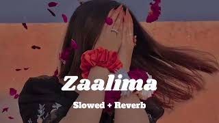 ❣️Zaalima ❣️ Slowed  Reverb  Raees  Mahira Khan Shah Rukh Khan  Arjit Singh [upl. by Brandea604]