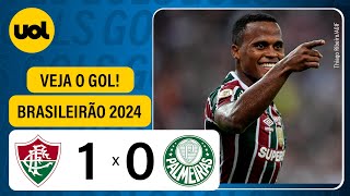 FLUMINENSE 1 X 0 PALMEIRAS  CAMPEONATO BRASILEIRO 2024 VEJA O GOL [upl. by Talya]