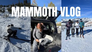 last minute mammoth trip  SENIORITIS EP 12 [upl. by Ojyram]