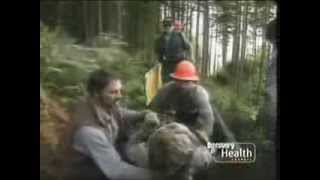 Rescue 911 Lumberjack vs Crushing Injuries [upl. by Yesima710]