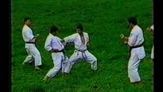 Bunkai do Heian Nidan [upl. by Neiv]