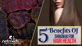 5 Ways To Improve Hair Health Using Shikakai  DIY Shikakai Hair Mask [upl. by Roid215]