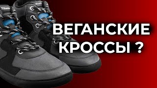 ОСТОРОЖНО СИНТЕТИКА Обзор Barefoot Кроссовок Barebarics Lynx [upl. by Adaiha]