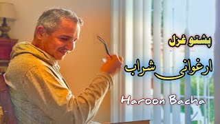 Pashto Ghazal  Haroon Bacha  Arghowani Sharab پشتو [upl. by Heddi]