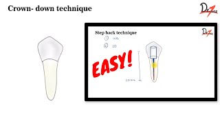 Crown down Technique ENDODONTICS [upl. by Justinn]