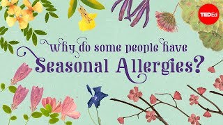 Why do people have seasonal allergies  Eleanor Nelsen [upl. by Supat375]