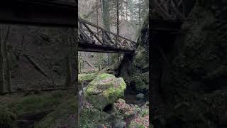 Ravennaschlucht wandern reise schlucht [upl. by Annelak680]