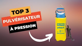 🔥 TOP 3  Meilleur Pulvérisateur à Pression 2024 [upl. by Fregger]