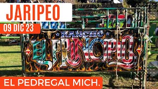 JARIPEO Rancho El Principio l Reyes De Jalisco – EL PEDREGAL Michoacán 2023 [upl. by Pachston597]