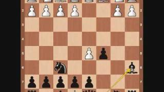 Chess Openings Benko Gambit [upl. by Cavil]