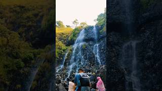 Amboli Waterfall ✨ on Amboli Ghat 🏔️ amboliwaterfall waterfall nature travel [upl. by Godfrey]