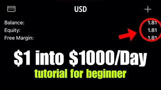 I raised ONE DOLLAR into 1000 in a Day  my vip tutorial with 100x results [upl. by Angelique367]