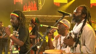 BLACK ROOTS UKJAM  Live  Ostróda Reggae Festival 2015  Poland [upl. by Enetsuj]