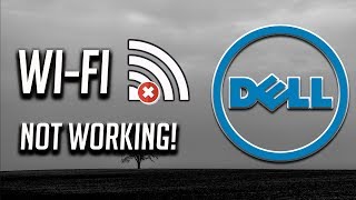 Fix Dell WiFi Not Working in Windows 1087 2024 [upl. by Doy]