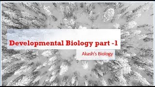 Development Biology part1 [upl. by Eilram]