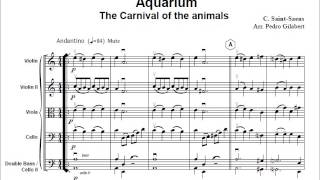 Aquarium from The Carnival of the Animals C SaintSaens for easy string orchestra [upl. by Aronos]