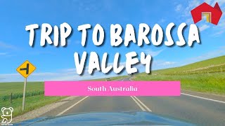 Trip to Barossa Valley South Australia Drive videos in Australia [upl. by Yedorb472]