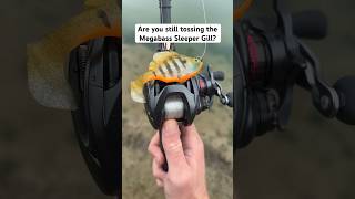 The Megabass Sleeper Gill straight CATCHES bass [upl. by Bellina761]