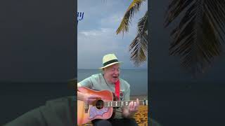 Jamaica Farewell Don Williams cover version [upl. by Alleynad]