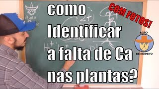 Deficiência de CÁLCIO em plantas  Como identificar SINTOMAS NUTRICIONAIS EP 4 [upl. by Alleirbag]