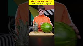 pine apple water melon లాగా ఎలా మారిందో చూస్తే షాక్shorts viral viralshort youtubeshorts [upl. by Deedee]