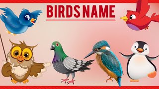 Birds Name 20 birds name with spelling Pictures  birds vocabulary  🦆🦉🦚🦜😍🥰 [upl. by Eenyaj]